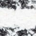 black/ivory