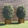 vidaXL Garden Planters 2 pcs Honey Brown 15.7"x15.7"x15.7" Solid Wood Pine - 2 of 4