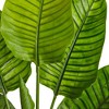 63" Travelers Palm Tree - Nearly Natural: UV-Resistant, Indoor/Outdoor Decor, No Assembly, Modern Style - 3 of 4