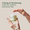 Pyunkang Yul Calming Moisture Barrier Cream (1.69 oz)  Soothe discomfort and strengthen your skin's natural defenses - 2 of 4