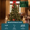 Sunnydaze Indoor Unlit Faux Tannenbaum Slim Evergreen Holiday Christmas Tree with Hinged Branches - 7' - Green - 3 of 4