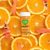 So Good So You Immunity Turmeric Cinnamon Organic Probiotic Juice Shot - 1.7 fl oz - 4 of 4