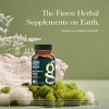 Gaia Herbs St. John's Wort - Natural Stress Support Supplement to Help Maintain Emotional Health - 60 Vegan Liquid Phyto-Capsules - 3 of 4