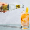 Fever Tree Tonic Water - Premium Quality Mixer - Refreshing Beverage for Cocktails & Mocktails 200ml Bottles - image 3 of 4