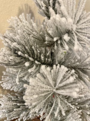 Tag 24-Pack Mini Frosted Trees at Von Maur