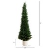 Nearly Natural 6-ft UV Resistant Artificial Cedar Tree in Decorative White Planter (Indoor/Outdoor) - 2 of 4