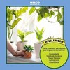 100% Pure Organic Worm Castings Fertilizer, 4.5-Pounds - Improves Soil Fertility and Aeration - 3 of 4