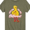 Boys' - Sesame Street - Its Ok To Be Different Short Sleeve Graphic T-Shirt - 2 of 4