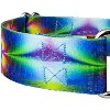 Country Brook Petz® 2 Inch Martingale Dog Collar - 4 of 4