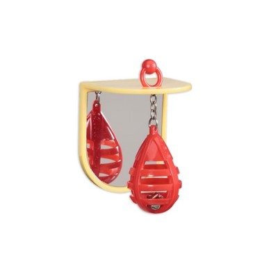 JW Insight Punching Bag Plastic Bird Toy