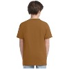 Levi's® Boys' Short Sleeve Western Graphic T-Shirt - Brown - 3 of 3