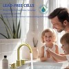 ChicFurnit Bathroom Sink Faucet Widespread 2 Handle Design with 360 Degree Swivel Spout for Modern Spaces, Gold, 13.58"*12.4"*3.54" - 2 of 4