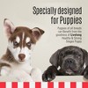 Livelong Healthy & Strong Stages Puppy Chicken Wet Dog Food, 12pk 12.5oz Cans - 4 of 4