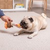TrustyPup Long Neck Rowdy Rooster with Chew Guard Dog Toy - 4 of 4