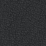 jacksonville jaguars