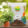 Soil Sunrise Citronella Plant Potting Soil Mix, for Pelargonium Citrosum, Indoor/Outdoor Container Gardening - image 2 of 4