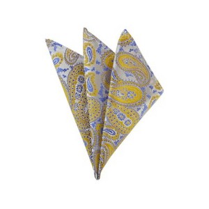 TheDapperTie - Men's Paisley Woven 10 Inch x 10 Inch Pocket Squares Handkerchief - 1 of 3
