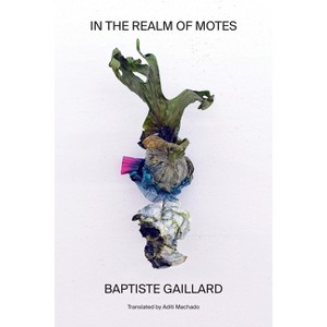 In the Realm of Motes - by  Baptiste Gaillard & Aditi Machado (Paperback) - 1 of 1