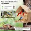 Sandinrayli Smart Bird Feeder with Camera, 1080P HD AI Identify Bird Watching Camera - 3 of 4