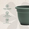 Bloem Ariana Round Resin Planter Pot Indoor and Outdoor Gardening - 4 of 4