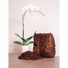 Envelor 10 lb. Coco Coir Husk Chips 2-Pack – 2.4 Cu. Ft. Compressed Coconut Coir Bricks - 4 of 4