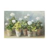 Trademark Fine Art -Danhui Nai 'White Potted Geraniums' Canvas Art - 2 of 4