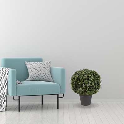 Green 21-Inch Boxwood Topiary Ball in Black Pot