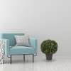 Nature Spring Realistic Plastic Faux Boxwood Topiary Arrangement for Indoor or Outdoor Use - Green - 2 of 4