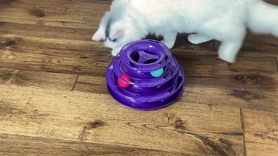  MADDEMCUTE Cat Toys Interactive Cat Track Balls,3 in