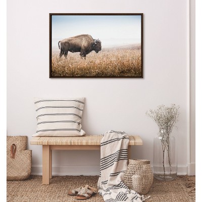 American Bison Buffalo in Prairie Grass Framed Canvas Wall Art