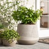 LuxenHome 17" Dia Concrete Round Tapered Planter Large Outdoor Indoor Plant Pot Distressed Wood Pattern Planter Pot for Home Garden Patio Brown - 2 of 4