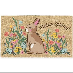 Design Imports  Hellow Spring Bunny Doormat - 1 of 1