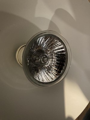 Guest review image 3 of 4, zoom in