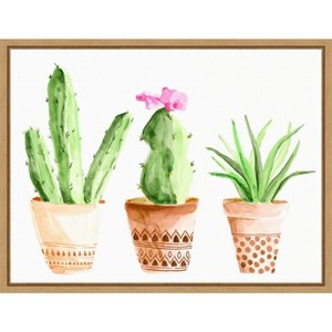 Amanti Art Patterned Succulent Pots II by Regina Moore Canvas Wall Art Print Framed 24 x 18-in. - 1 of 4