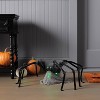 30" Jumping Spider Halloween Decorative Prop - Hyde and EEK! Boutique™ - 2 of 4
