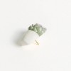 U Brands 6ct Potted Succulent Push Pins - image 4 of 4
