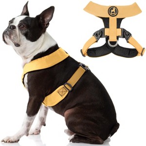 Gooby Comfort X Harness Dual Snap Yellow, Medium - 1 of 1