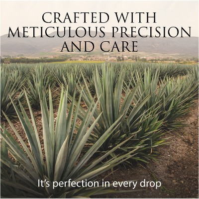 Patrón Silver Tequila - 200ml Bottle
