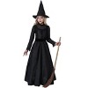 HalloweenCostumes.com Deluxe Dark Witch Costume for Girls - 3 of 3