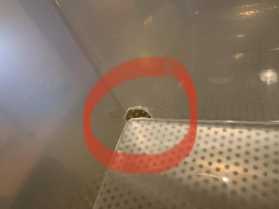 Guest review image 1 of 3, zoom in