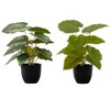 Artificial Plant, 13" Tall, Epipremnum, Indoor, Faux, Fake, Table, Greenery, Potted, Set Of 2, Decorative, Green Leaves, Black Pots - 2 of 4