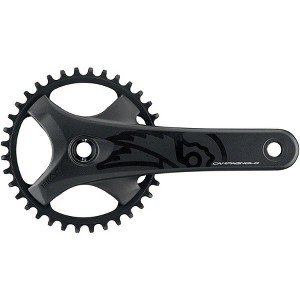 Campagnolo EKAR GT Crankset - 172.5mm, 13-Speed, 40t, 123mm BCD, Campagnolo Ultra-Torque Spindle Interface, Black - 1 of 3