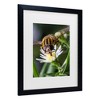Trademark Fine Art - Steven Ellingson Pray On Flowers Matted Framed Art - 3 of 4