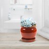 Southern Patio Wisteria 8 Inch Round Ceramic Indoor or Outdoor Garden Planter Pot with Saucer for Flowers and Plants, Red (4 Pack) - 3 of 4
