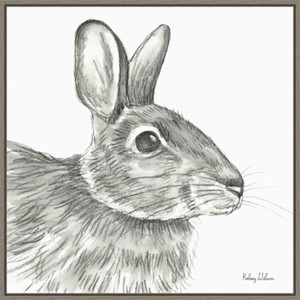 Amanti Art Watercolor Pencil II Rabbit by Kelsey Wilson Canvas Wall Art Print Framed 22-in. x 22-in. - 1 of 4