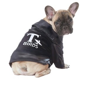 Grease T-Birds Jacket Pet Costume, Medium - 1 of 1