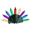 Celebrations Platinum LED T5 Multicolored 50 CT String Smart-Enabled Christmas Lights 16.3 FT - 2 of 4