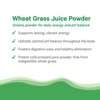 Pure Synergy Organic Wheat Grass Juice Powder – Cold-Pressed Superfood for Energy, Detox & Digestive Health – 5.3 oz - 4 of 4