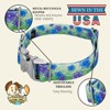 Country Brook Petz Premium Dog Collar - Spring Collection - 4 of 4