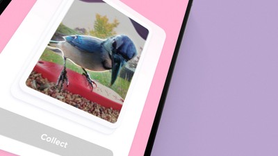 Blue Solar-Powered Smart Bird Feeder with Camera and Glass Enclosure